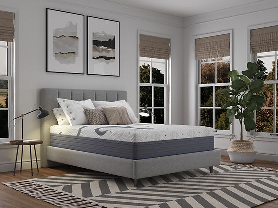 Avalon 12" Plush King 6/6 One Sided Mattress