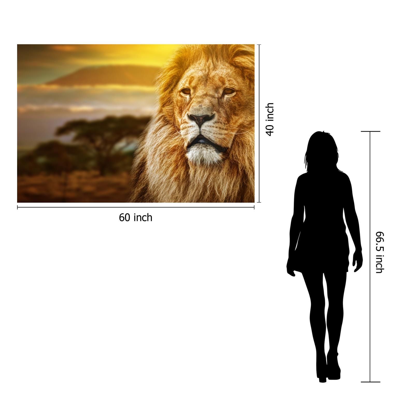 Temp Glass w/Foil -Lion Safari